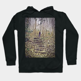 A Staircase To Freedom Hoodie